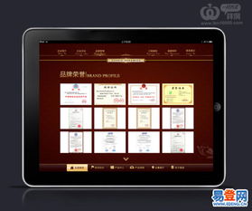 精湛的技術，優秀的服務 深圳軟件開發公司的卓越之道