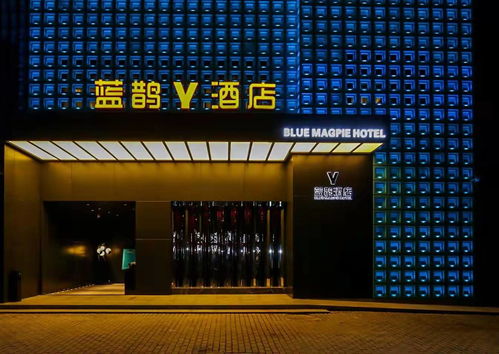 藍鵲酒店專項調(diào)研 協(xié)會精準定制發(fā)展良策